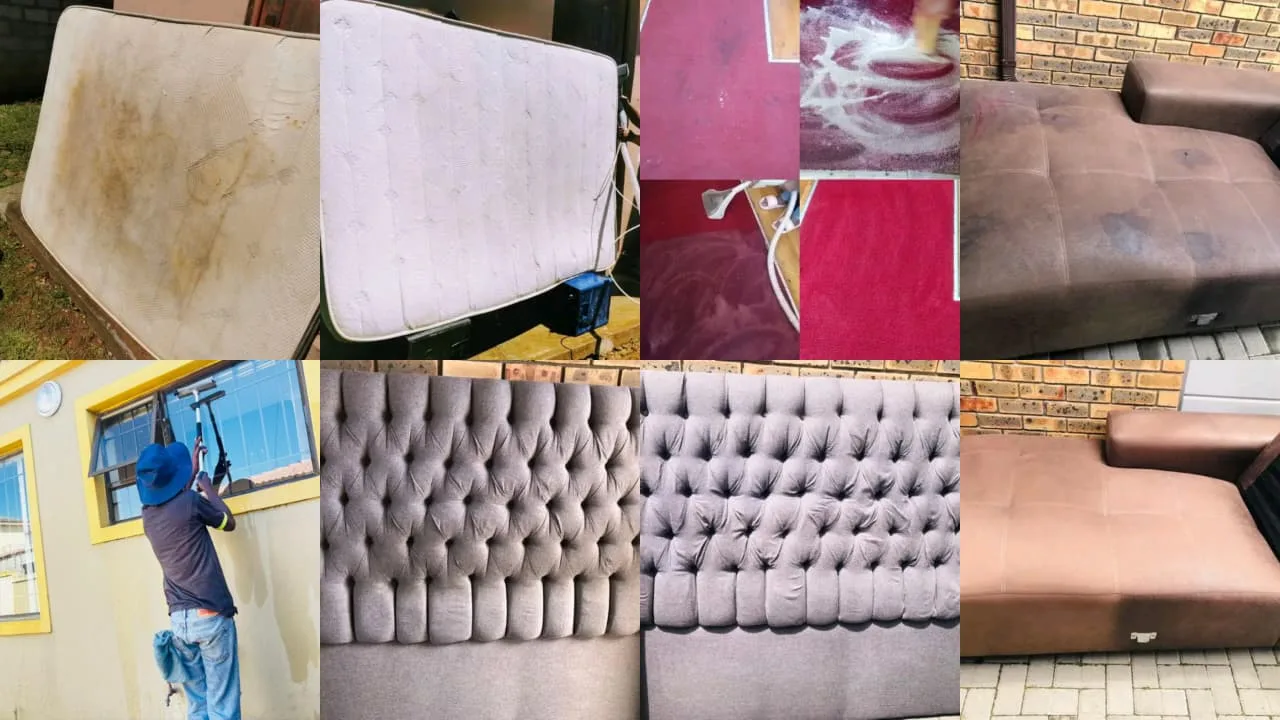 Founder of Melani's Development Enterprise